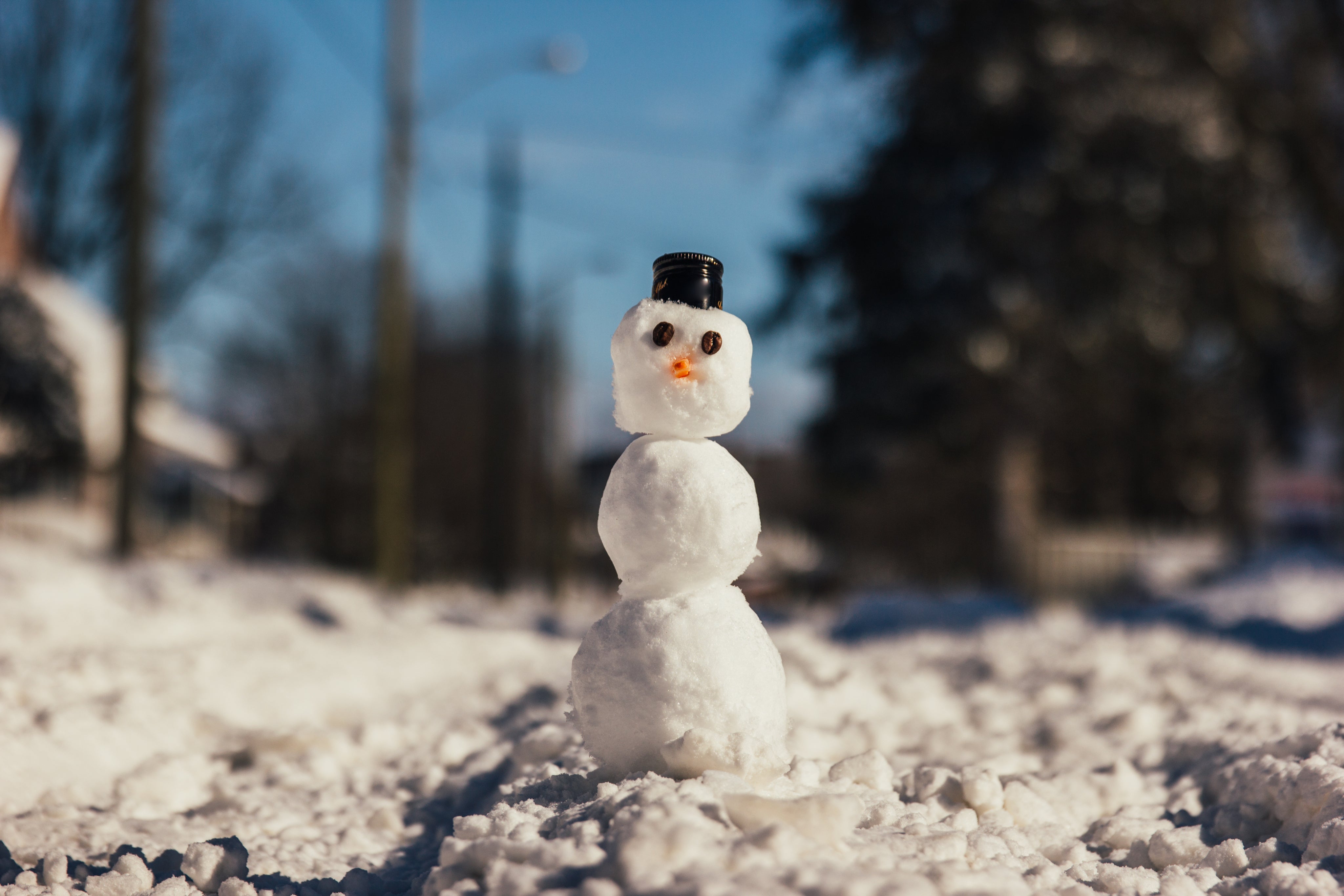 Winter NOVELTY INC WHOLESALE