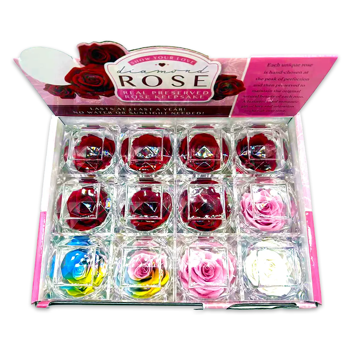 Diamond Real Preserved Rose Keepsake - 12 Pieces Per Retail Ready Display 25074 KIPP BROTHERS