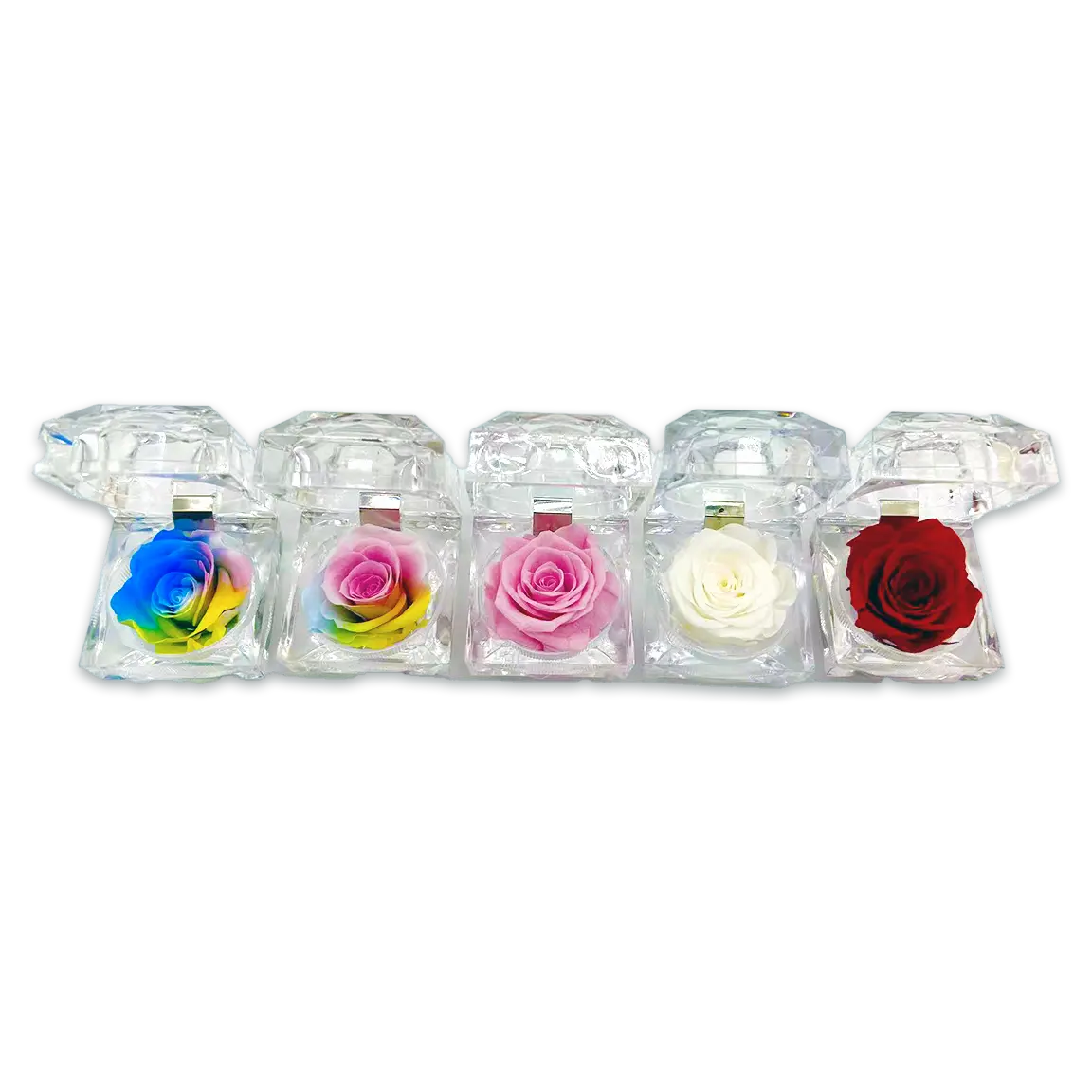 Diamond Real Preserved Rose Keepsake - 12 Pieces Per Retail Ready Display 25074 KIPP BROTHERS
