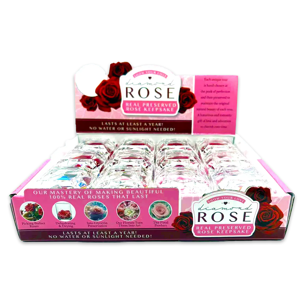 Diamond Real Preserved Rose Keepsake - 12 Pieces Per Retail Ready Display 25074 KIPP BROTHERS