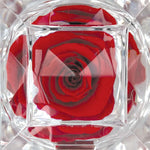 Diamond Real Preserved Rose Keepsake - 12 Pieces Per Retail Ready Display 25074 KIPP BROTHERS